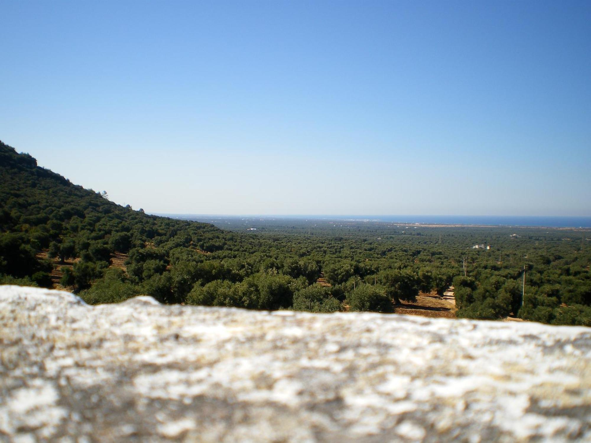 Masseria Morrone Ostuni Exterior foto